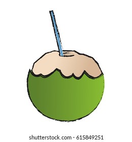 coconut drink icon