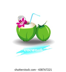 coconut drink sweet fresh vector isolated