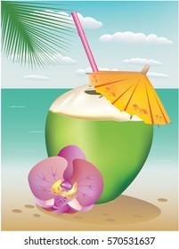 Coconut drink vector