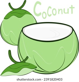 coco, coco de bebida, joven, verde, vectorial ilustración, bebidas, fruta