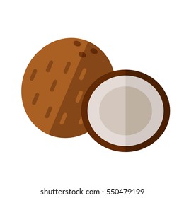 Coconut drupe with half section vector illustration. Superfood cocoanut icon. Healthy detox natural product. Flat design organic food.