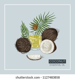 Coconut essential oil. Bottle decorated with seeds, leaves. Cosmetic, perfumery and medical plant. Vector hand drawn illustration. Color pattern.Stylish design with sketch illustration of coconut.