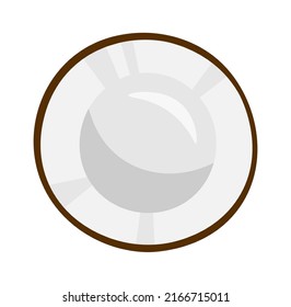 Coconut Exotic Fruit. Vector illustration