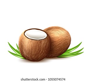 Coconut exotic leaves fresh fruit. 3d whole nut, paradise vacation resort, summer tropical beach party poster, advertising design template Realistic healthy vitamin organic food. Vector illustration