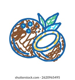coconut exotic nut doodle icon sketch vector. coconut exotic nut sign. isolated symbol illustration