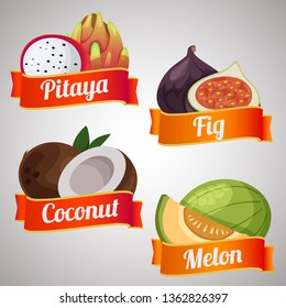coconut fig melon ribbon illustration vector