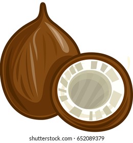 Coconut Filled fruits colored vector icon