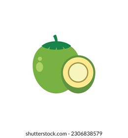 Coconut In Flat Icon Style Isolated on a White Background - Fruits Icon Vector Illustration. 