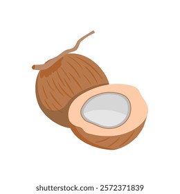 Coconut Flat Icon, Vector illustration