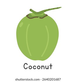 Coconut flat vector illustration. Green coconut cartoon clipart style isolated on white background. Common fruit and Stone fruit concept