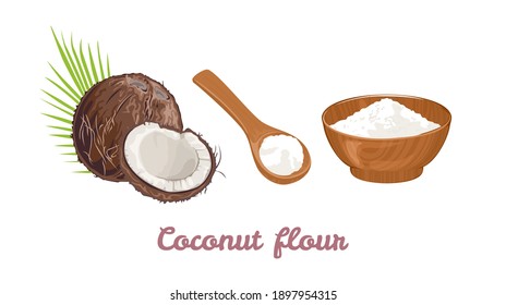 Coconut flour in a wooden spoon, bowl and coconut isolated on a white background. Vector illustration of healthy food in cartoon flat style.