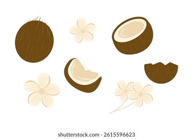 Coconut with coconut flowers set. Hand drawn coconut vector collection. 