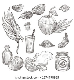Coconut food and drink, tropical cocktail and cosmetic oil, isolated sketches vector. Milk and jam in jar, hand drawn leaves and shavings. Pina colada in nut shell with straw and umbrella drawing