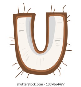 Coconut in a form of letter U - fruit lettering design. Vector illustration.
