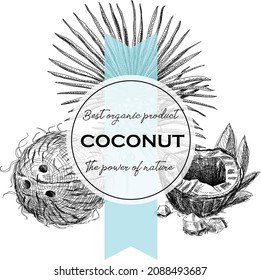 Coconut frame. Sketchy hand-drawn vector illustration.