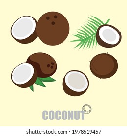 Coconut with fresh coconut shells. Set of coconut with leaves. Vector illustration. Set of exotic whole, half, cut slice coconut fruits and leaves.