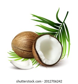 Coconut Fresh Tropical Nut And Tree Leaves Vector. Whole And Crashed Vegetarian Natural Ripe Coconut, Tasty Vitamin Nutrition. Milky Coco And Palm Branch Template Realistic 3d Illustration