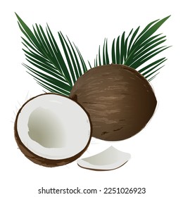 Coconut Fresh Tropical Nut And Tree Leaves Vector. Whole And Crashed Vegetarian Natural Ripe Coconut, Tasty Vitamin Nutrition. Milky Coco And Palm Branch Template Realistic 3d Illustration.
