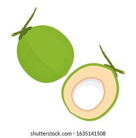coconut fresh young isolated on white background, illustration coconut half sliced for healthy food menu fruit juice, coconut summer fruit concept, green coconut for clip art simple
