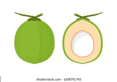 coconut fresh young isolated on white background, illustration coconut half sliced for healthy food menu fruit juice, coconut summer fruit concept, green coconut for clip art simple, vector