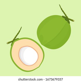 coconut fresh young isolated on green soft background, illustration coconut half sliced for healthy food menu fruit juice, coconut summer fruit concept, green coconut for clip art simple, vector