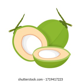coconut fresh young isolated on white background, illustration coconut half sliced for healthy food menu fruit juice, coconut summer fruit concept, green coconut for clip art simple, vector