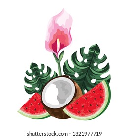 coconut fruit cartoon