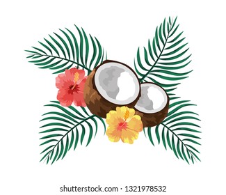 coconut fruit cartoon