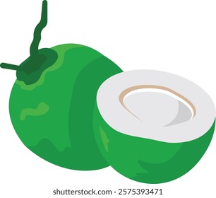 Coconut Fruit Cartoon Illustration Design