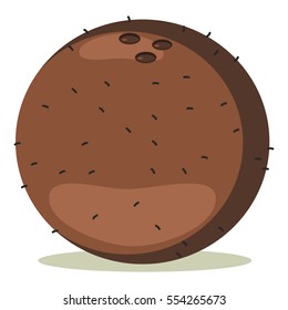 Coconut fruit. Cartoon vector icon isolated on white background.