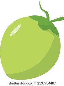 Coconut Fruit Cute Flat Illustration