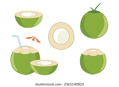 coconut fruit and coconut elements vector illustration