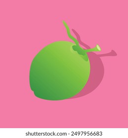 coconut fruit and coconut elements vector illustration