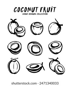 Coconut fruit hand drawn concept on white background