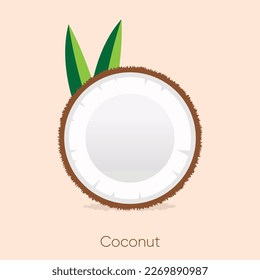 Coconut Fruit Hand-drawn Illustration Vector