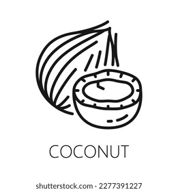 Coconut fruit in hard shell isolated coco nut outline icon. Vector exotic food, tropical palm tree nut, oil and milk drink ingredient