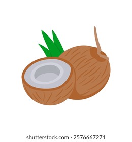 Coconut fruit, Holidays Vector Illustration