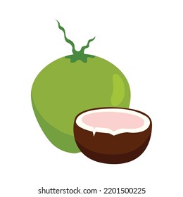 Coconut fruit icon. Coconut fruit