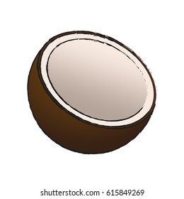 coconut  fruit icon