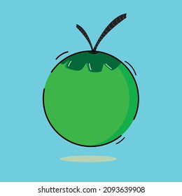 
coconut fruit icon on vector design
