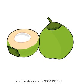 coconut fruit icon with truncated model. vector coconut fruit