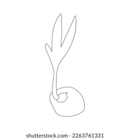 diseño de ilustraciones vectoriales de iconos de coco