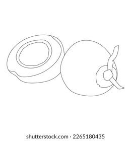 coconut fruit icon vector illustration design