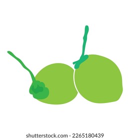 coconut fruit icon vector illustration design