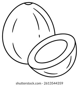 Coconut Fruit Line Art Vector for Kids Hand Drawing and Learning Tropical Fruit Outline Illustration