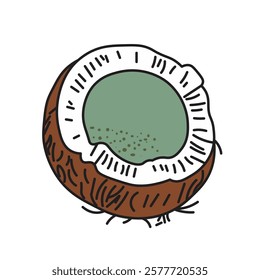 Coconut Fruit Nature Ilustrasi art
