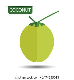 Coconut, fruit on white background. Flat design style. vector illustration.