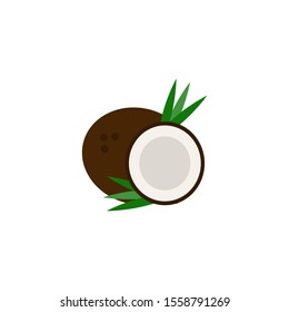 Coconut fruit on white background.  Vector illustration