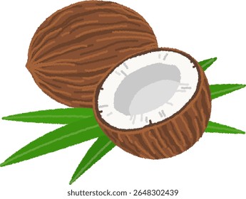Coconut is the fruit of the coconut palm, a species of palm. The white part inside the fruit is edible.