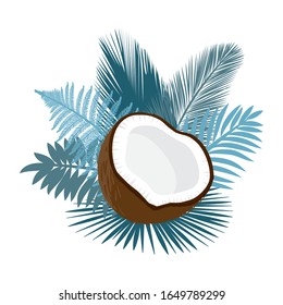 Coconut fruit and palms leaves, vector
